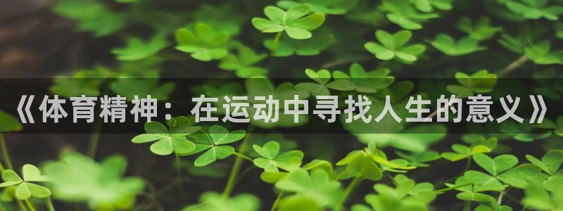 米兰体育官方正版app神州：《体育精神：在运动中寻找