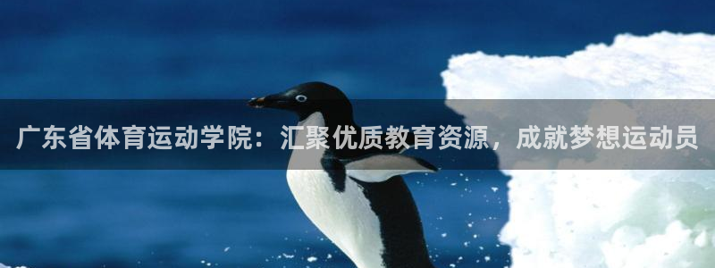 米兰体育官网下载平台：广东省体育运动学院：汇聚优质教