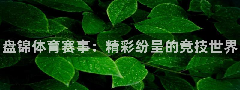 米兰体育官方正版app神州：盘锦体育赛事：精彩纷呈的