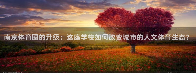 米兰体育官方正版app新能源：南京体育圈的升级：这座