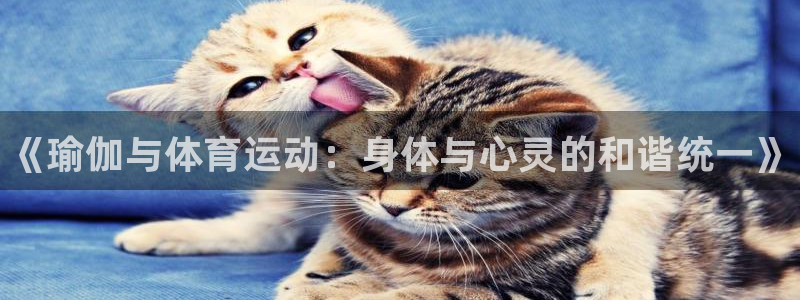 米兰体育官网下载平台假的吗是真的吗吗：《瑜伽与体育运