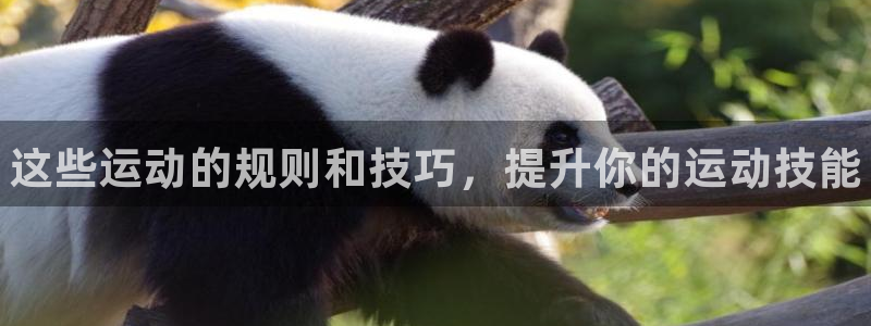 米兰体育官方正版app官方：这些运动的规则和技巧，提升你的运