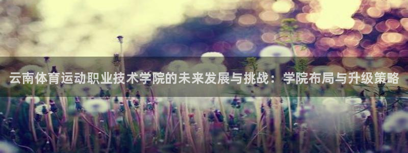 米兰体育官网下载招商电话号码查询：云南体育运动职业技