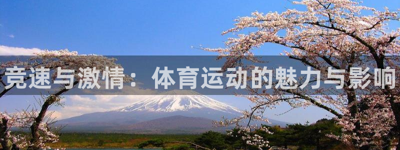 米兰体育官网下载平台注册要钱吗是真的吗：竞速与激情：