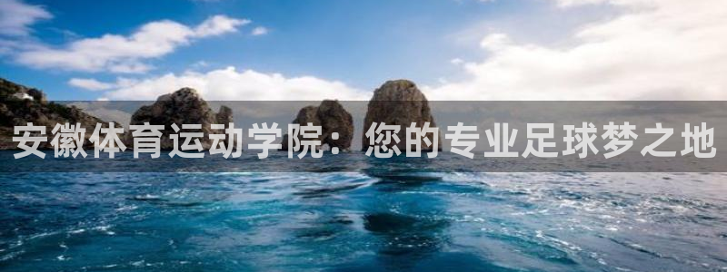 米兰体育官方正版app集团logo：安徽体育运动学院