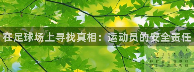 米兰体育官方正版app集团：在足球场上寻找真相：运动