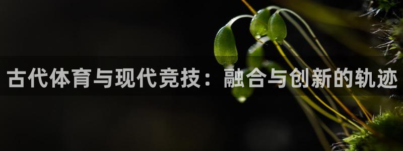 米兰体育官网下载平台注册要钱吗安全吗：古代体育与现代