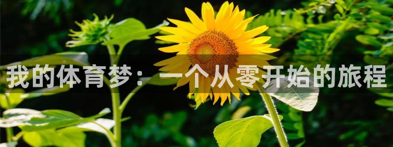 米兰体育官网下载平台：我的体育梦：一个从零开始的旅程