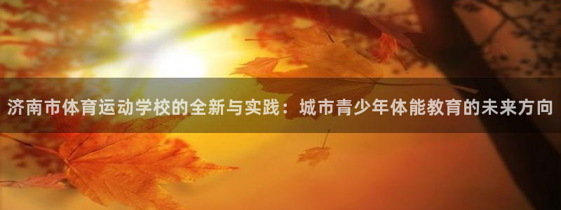 米兰体育官方正版app娱乐代理怎么样：济南市体育运动