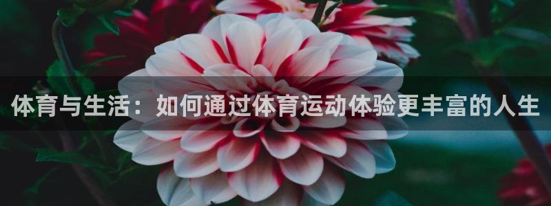 米兰体育官网下载招商电话地址是多少：体育与生活：如何
