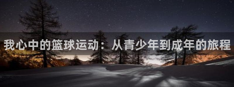 米兰体育官方正版app代理：我心中的篮球运动：从青少