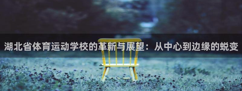 米兰体育官方正版app新能源：湖北省体育运动学校的革新与展望
