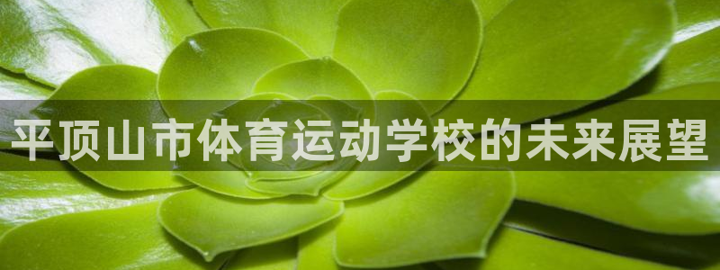 米兰体育官网下载平台注册要钱吗安全吗：平顶山市体育运