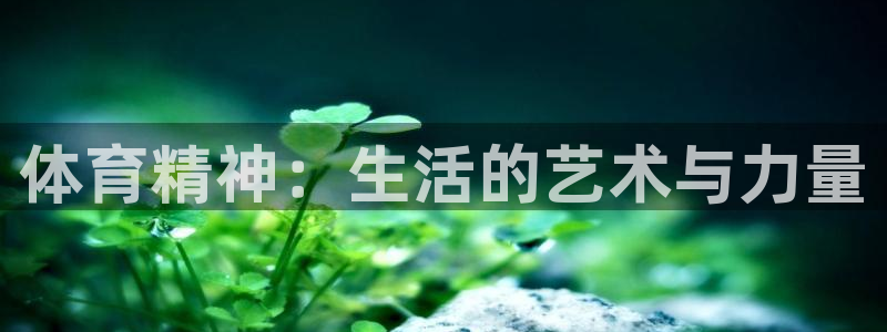 米兰体育官网下载平台APP：体育精神：生活的艺术与力量