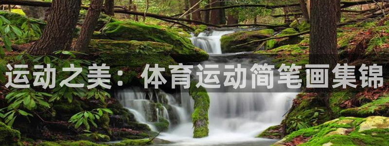 米兰体育官网下载平台是正规平台吗安全吗：运动之美：体育运动简