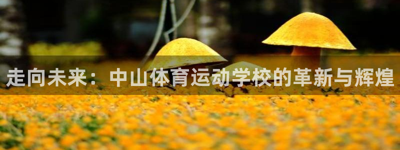米兰体育官方正版app开户：走向未来：中山体育运动学校的革新
