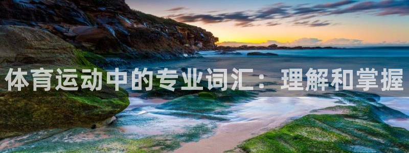 米兰体育官方正版app代理：体育运动中的专业词汇：理解和掌握