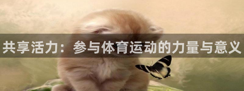 德国米兰体育官方正版app集团：共享活力：参与体育运动的力量