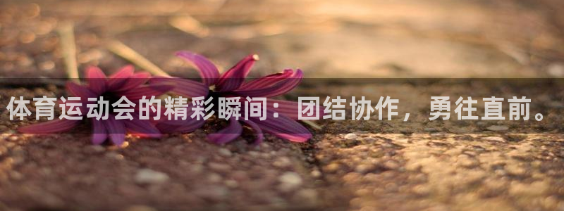 米兰体育官方正版app集团：体育运动会的精彩瞬间：团结协作，