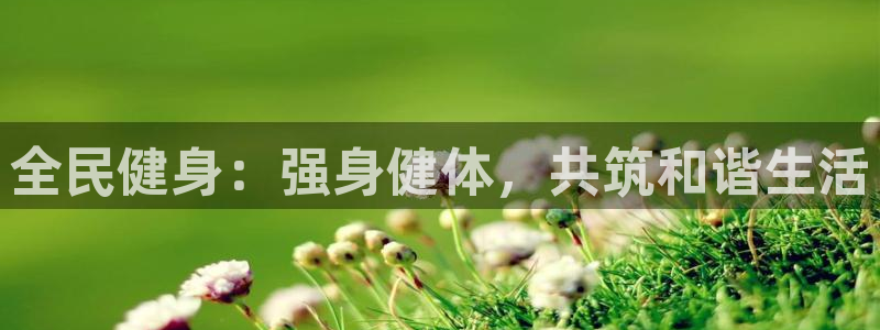 米兰体育官网下载是干嘛的公司