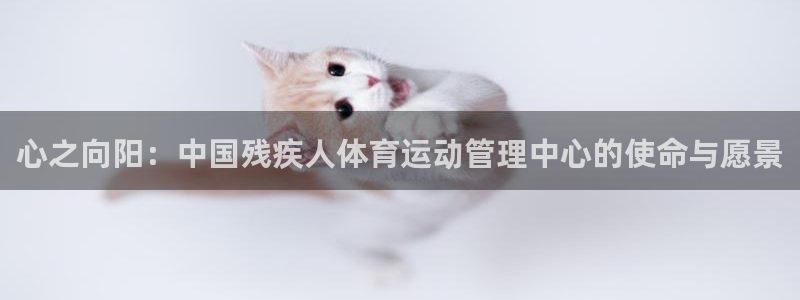 米兰体育官网下载平台注册要钱吗是真的吗：心之向阳：中国残疾人